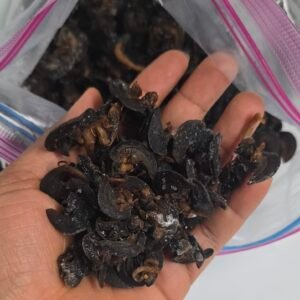 Escargots séchés