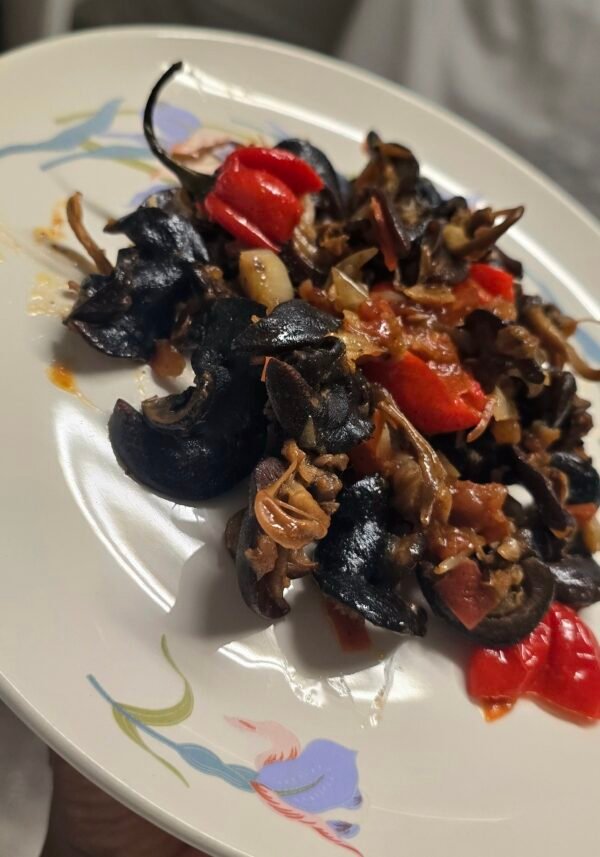 Escargots séchés - Image 2